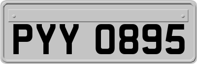 PYY0895