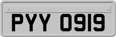 PYY0919