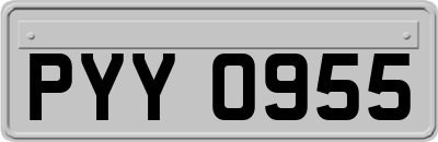 PYY0955