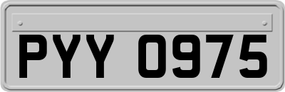 PYY0975