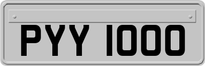 PYY1000