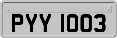 PYY1003