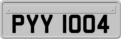 PYY1004