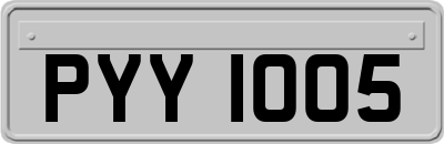 PYY1005