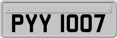 PYY1007