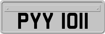 PYY1011