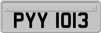 PYY1013