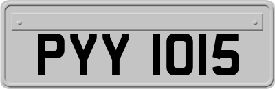 PYY1015