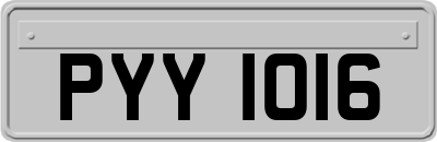 PYY1016