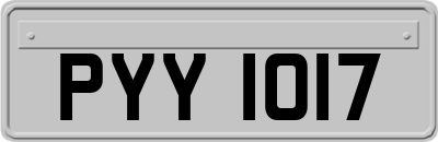PYY1017