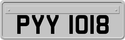 PYY1018