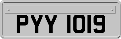 PYY1019