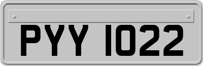 PYY1022