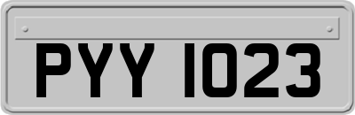 PYY1023
