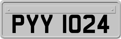 PYY1024