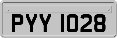 PYY1028