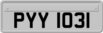 PYY1031