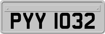 PYY1032