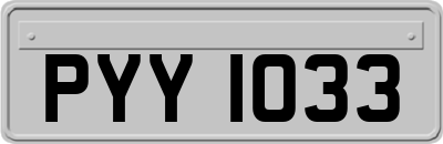 PYY1033
