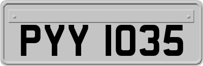 PYY1035