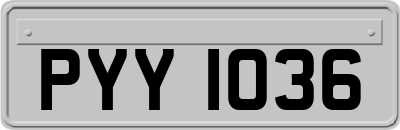 PYY1036
