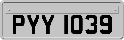 PYY1039