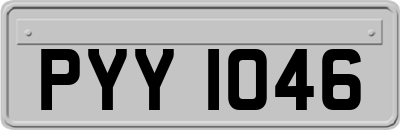 PYY1046