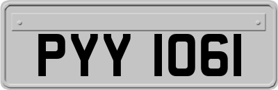 PYY1061
