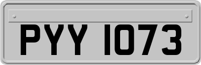 PYY1073