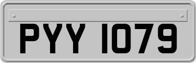 PYY1079