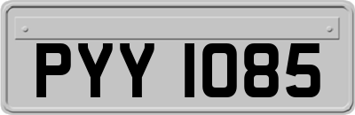 PYY1085