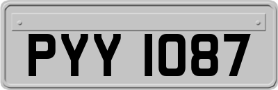 PYY1087