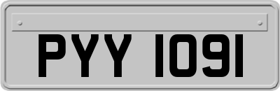 PYY1091