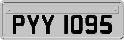 PYY1095