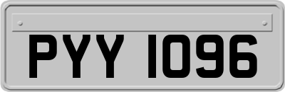 PYY1096
