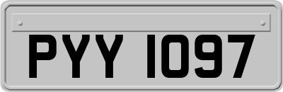 PYY1097