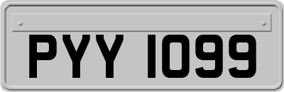 PYY1099