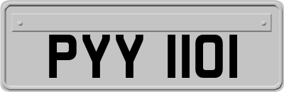 PYY1101