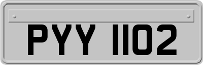PYY1102