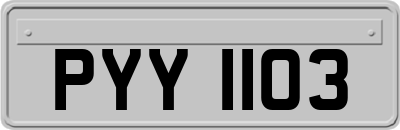 PYY1103