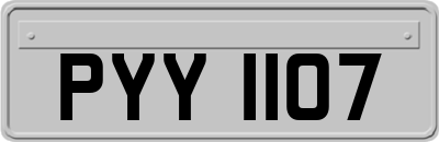PYY1107