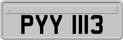 PYY1113