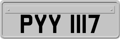 PYY1117