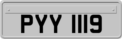 PYY1119