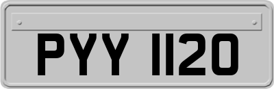 PYY1120
