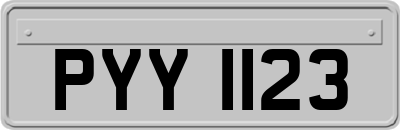 PYY1123