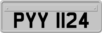 PYY1124