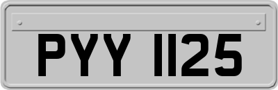 PYY1125