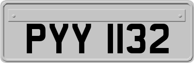 PYY1132