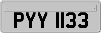 PYY1133